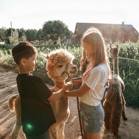 Herbst Feriencamp Tiere & Action