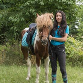 Das Leben ist ein Ponyhof / Weihnachten